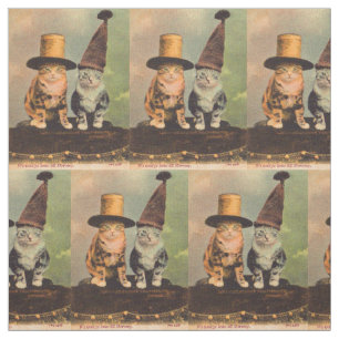 Tecido cerca de 1900 gatos em chapéus RPPC