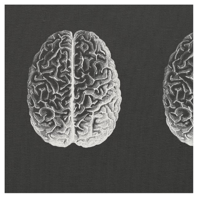 Tecido Cérebros! (Detalhe)