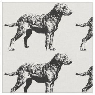 Tecido Chesapeake_Bay_Retriever_drawing.png