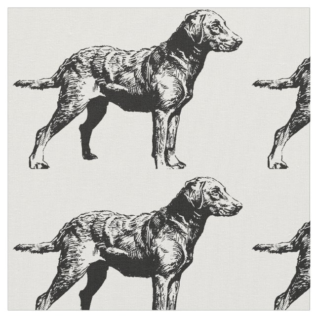 Tecido Chesapeake_Bay_Retriever_drawing.png (Detalhe)