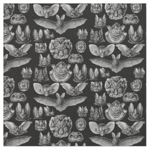 Tecido Chiroptera 1904 de Haeckel