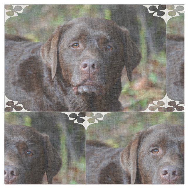 Tecido Chocolate adorável labrador retriever (Detalhe)