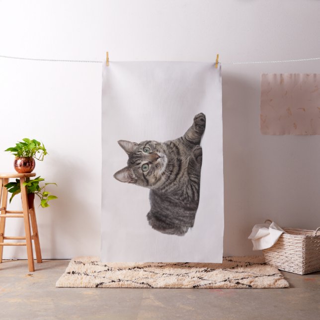 Tecido Cinza Tabby Cat (In Situ)
