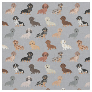 Tecido cinzas leves para cães Dachshund