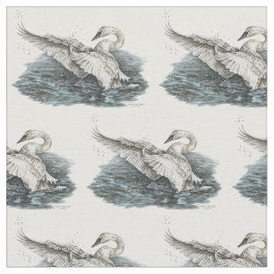 Tecido Cisne branca no desenho da água pela cisne de