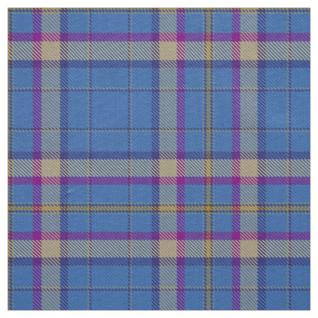 Tecido Clã escocês Sião de Ely Tartan Xadrez (Modelo)