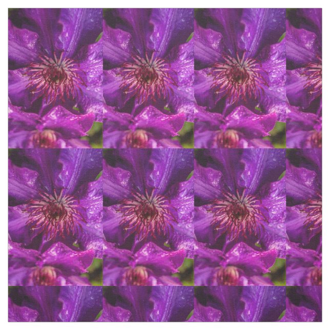 Tecido Clematis O Presidente (Modelo)