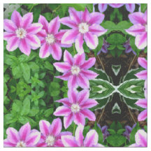 Clematite e Orégano
