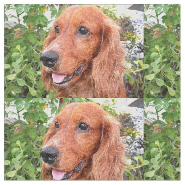 Tecido cocker-spaniel-.png vermelho (Detalhe)