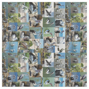 Tecido Colagem de Fotos Pelicana,