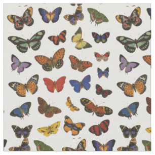 Tecido Coleção da borboleta