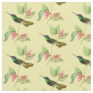Tecido Colibri magnífico do vintage