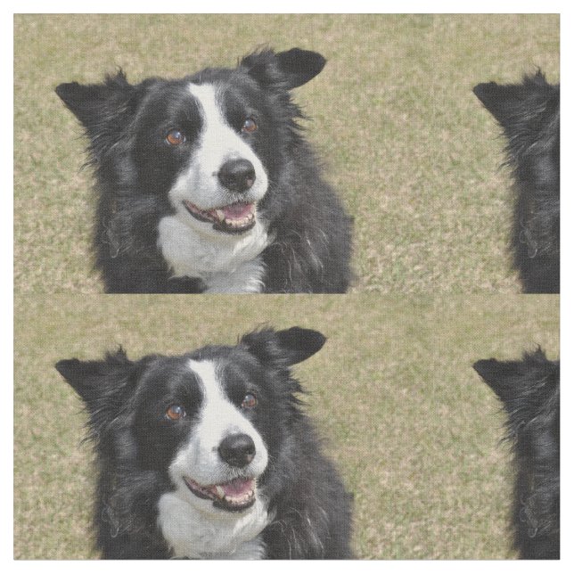 Tecido Collie de fronteira (Detalhe)