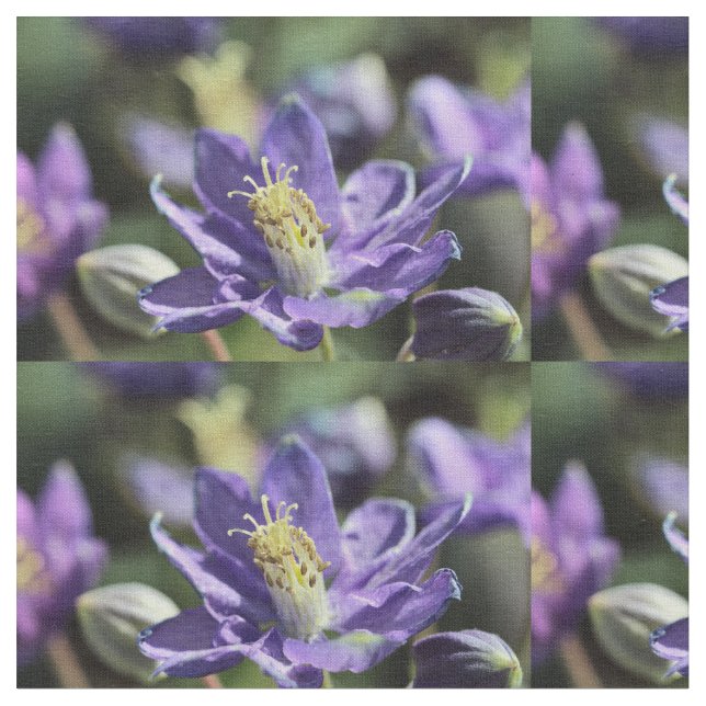 Tecido Columbine (Detalhe)