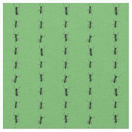 Tecido coluna de formigas