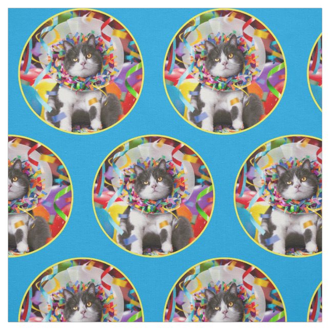 Tecido Cone de Festas de Cat In (Modelo)