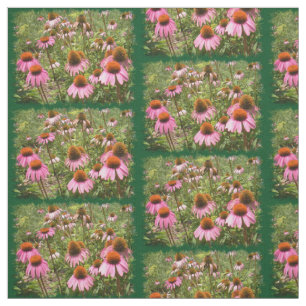 Tecido Coneflowers