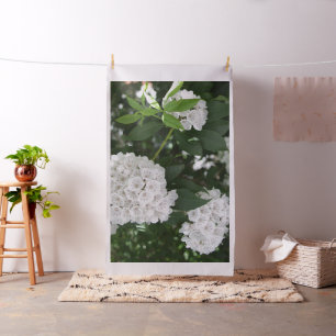 Tecido Conjuntos dados forma do louro de montanha estrela