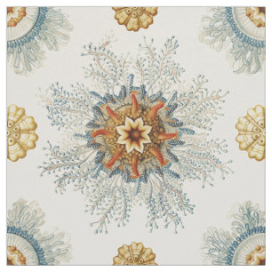 Tecido Coral Mandala