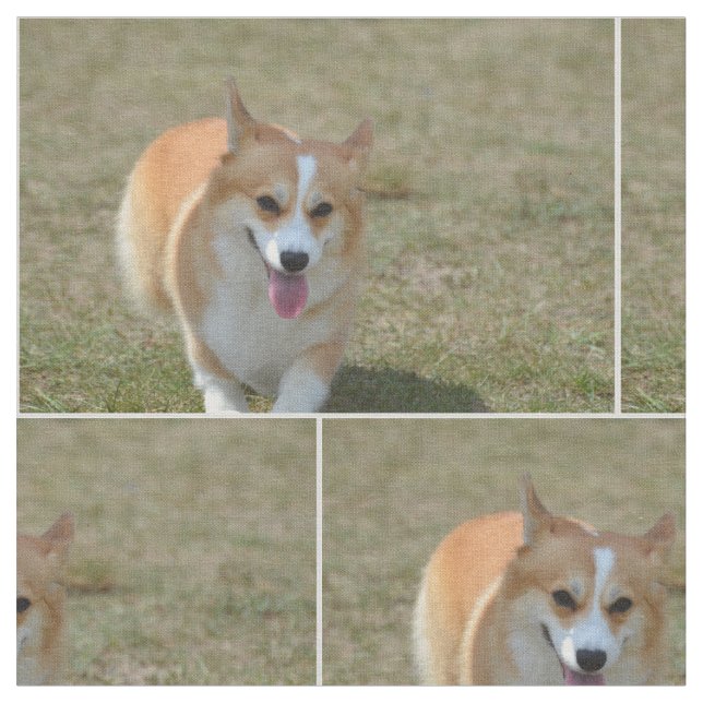 Tecido Corgi feliz (Detalhe)