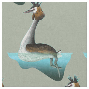 Tecido Crested Grebe