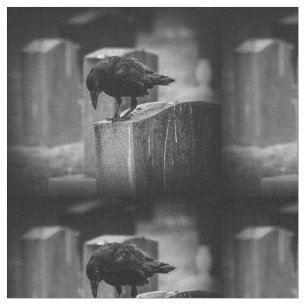 Tecido Crow do Cemitério de Queda