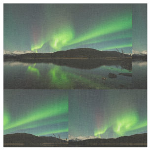 Tecido Curling Aurora