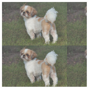 Tecido Cutest Shih Tzu