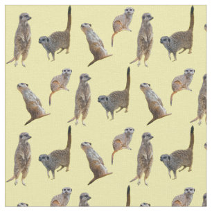 Tecido da agitação de Meerkat (amarelo)