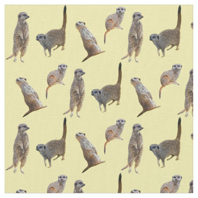 Tecido da agitação de Meerkat (amarelo) (Detalhe)