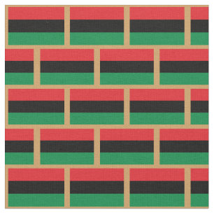 Tecido da bandeira da Unia e Moda da bandeira Pan-