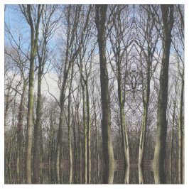 Tecido da foto da floresta do inverno