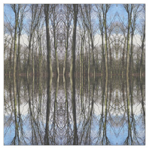 Tecido da foto da floresta do inverno