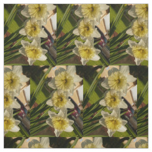 Tecido daffodil para o primavera