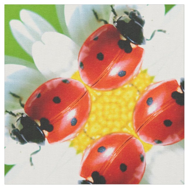 Tecido Damybugs Art 1 (Detalhe)