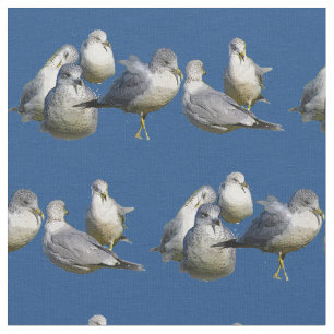 Tecido das gaivotas