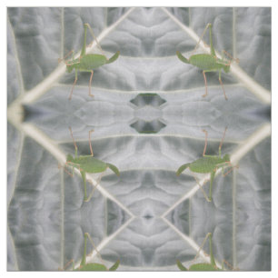 Tecido De Animais Com Padrões De Macro De Cricket 