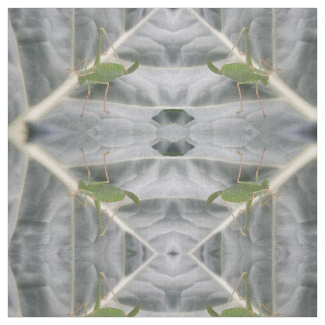 Tecido De Animais Com Padrões De Macro De Cricket  (Modelo)