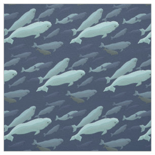 Tecido de baleia Beluga Tecido de baleia Algodão o