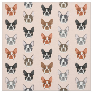 tecido de Boston Terrier Heads - cachorros bonitos