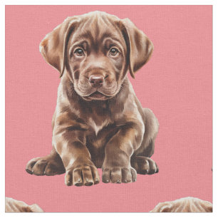 Tecido de Cachorro Labrador Retriever de Chocolate