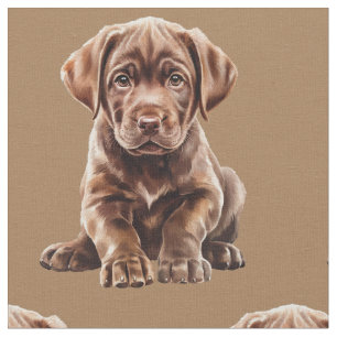 Tecido de Cachorro Labrador Retriever de Chocolate