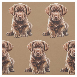 Tecido de Cachorro Labrador Retriever de Chocolate
