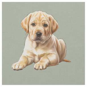 Tecido de Cachorro Retriever Labrador Amarelo