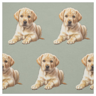 Tecido de Cachorro Retriever Labrador Amarelo