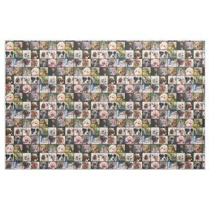 Tecido de Colagem de Fotos para Cães Bonitos e Eng