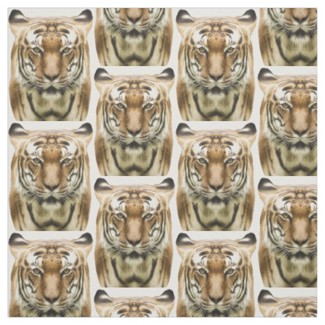 Tecido de Fechamento do Tigre (Modelo)