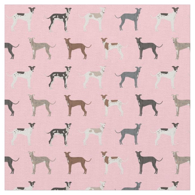 tecido de galgos brancos italianos (Detalhe)