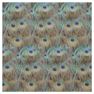 Tecido de Penas da Cauda Peacock