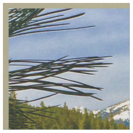 Tecido de queda de montanha